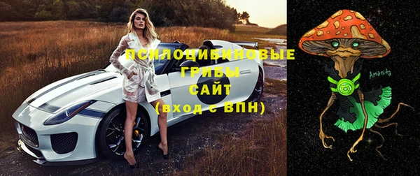 дживик Краснослободск
