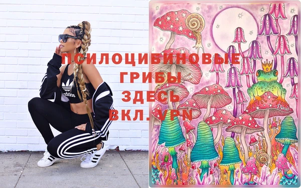 спиды Кулебаки