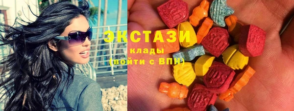 дживик Краснослободск