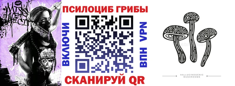 Псилоцибиновые грибы мухоморы  наркотики  Печора 